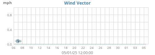 Wind Vector