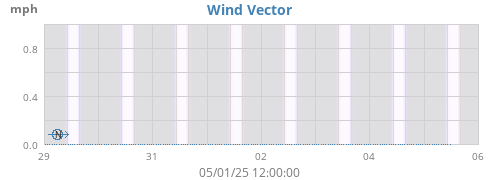 Wind Vector